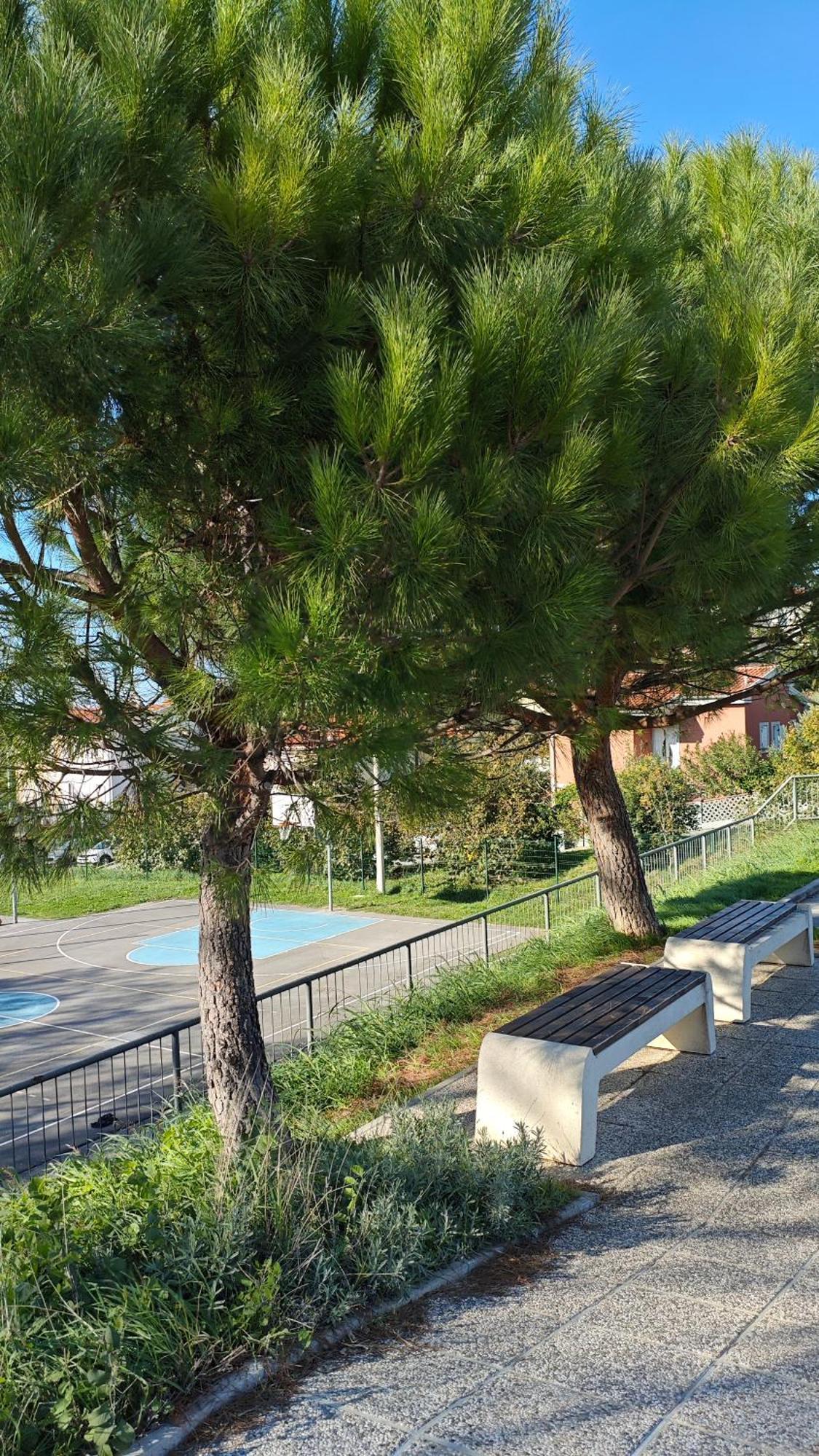 Apartments Tomisic Koper Exterior photo